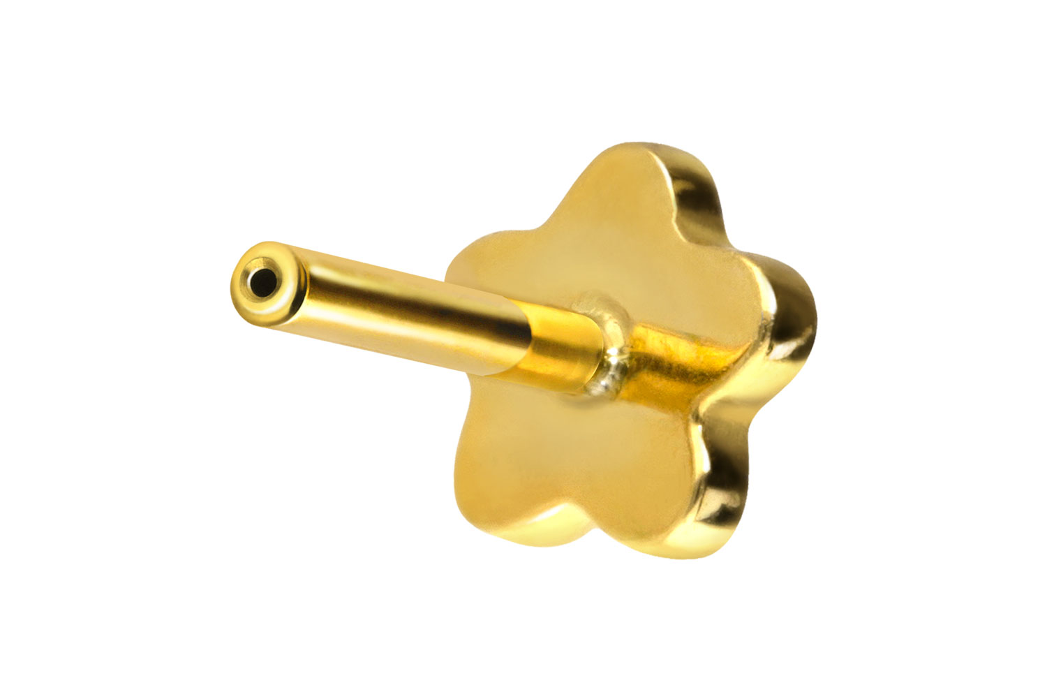 Titan Labret Piercing mit Push Fit ohne Kugel BLUME